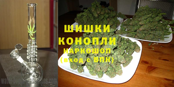 ALPHA PVP Осинники