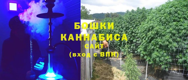 ГАЛЛЮЦИНОГЕННЫЕ ГРИБЫ Алзамай