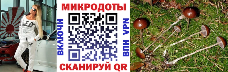 Галлюциногенные грибы Magic Shrooms  Лихославль 